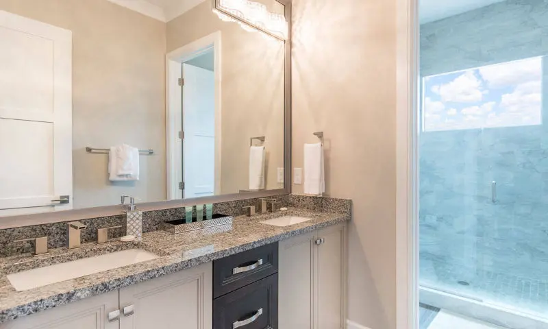master bath disney villa shower